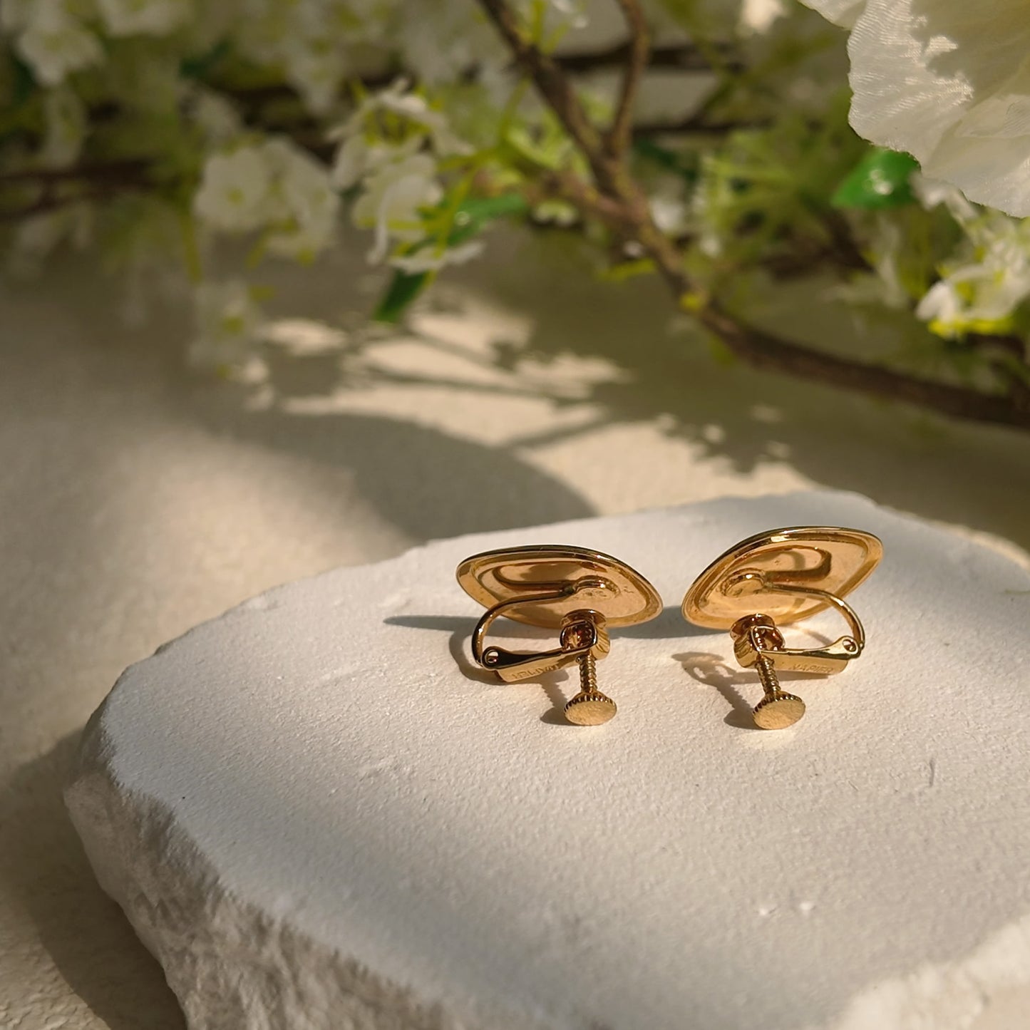 Napier Editor's Choice Clips