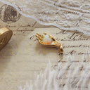 Acorn
