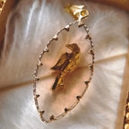 The Gilded Canary Pendant