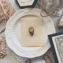 The Twilight Fae Pendant