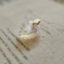 The Fluttering Dream Charm