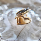 The Midnight Garden Locket