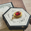 The Echoes of Time Locket
