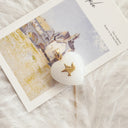 The Celestial Dove Heart Pendant