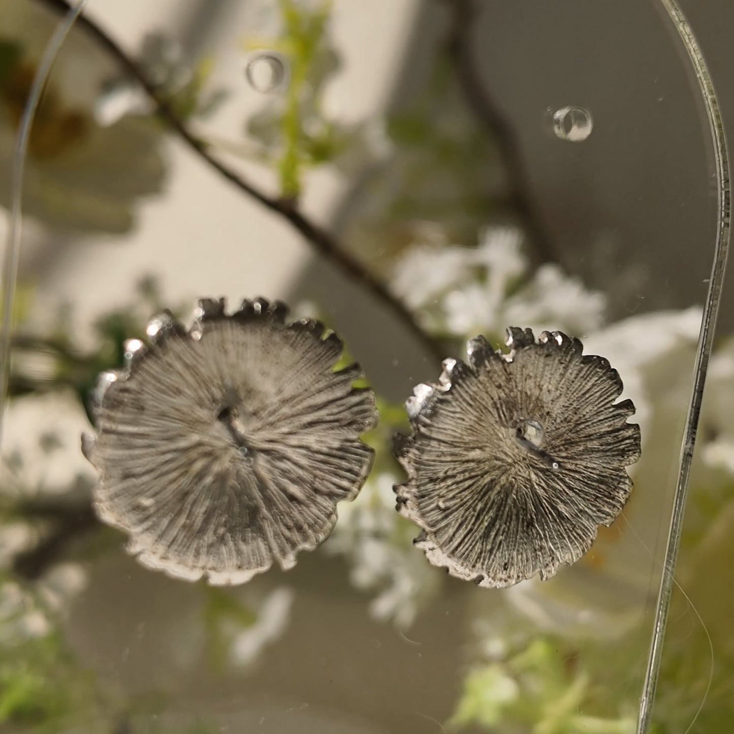 "Until the Seas Run Dry" Silver Studs