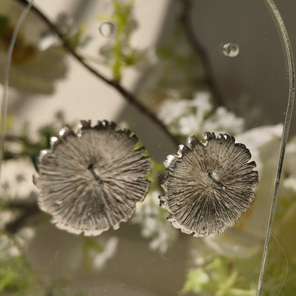 "Until the Seas Run Dry" Silver Studs