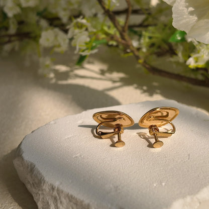 Napier Editor's Choice Clips