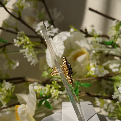 TRIFARI Crystal "Magic Mirror"  Studs