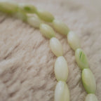 A macro shot detailing the sleek, tapered shuttle shape of the natural shell beads and the unique, soft blend of milky white and mint green colors.